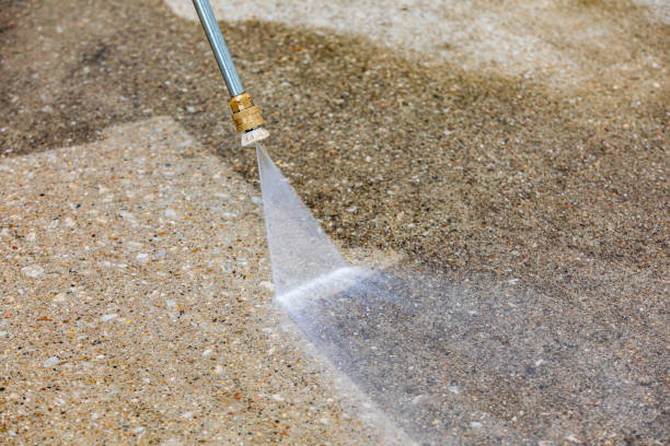 Best Roof Cleaning and Mildew Removal in Hayfield, VA